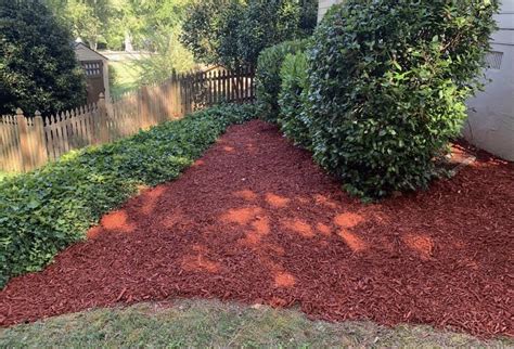 Mulch Evans Ga at Nedra Harris blog