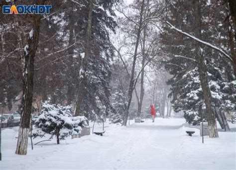 Четверг начнется с мороза и штормового ветра: прогноз погоды в Волжском