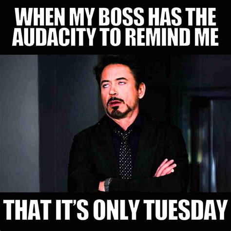20 Hilarious Tuesday Work Memes That Hit Just Right