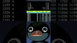 Image result for Linux Mint RAM Usage