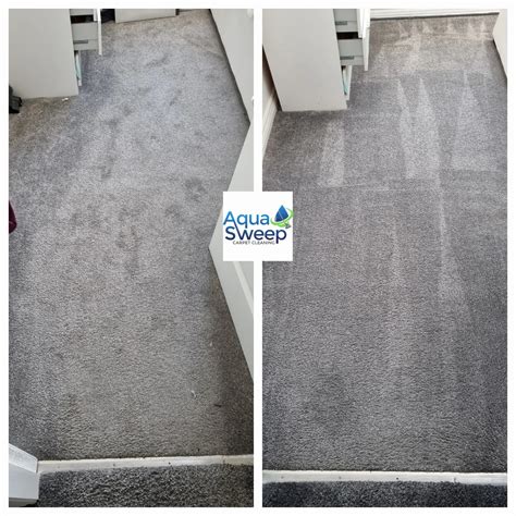 AquaSweep Carpet Cleaning – The Wee Mag