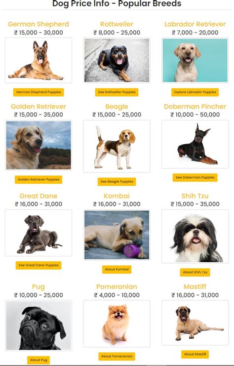 Labrador dog price, Rottweiler dog price, puppies, and breeder info