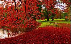Beautiful Fall Desktop Backgrounds Hd by Fall Backgrounds Beautiful Hd Desktop Wallpapers 4k Hd Beautiful Fall Desktop Backgrounds Hd