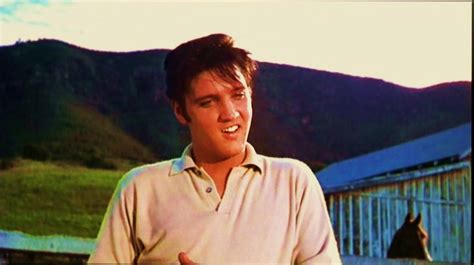Elvis Photos from His Movies! - Elvis Presley's Movies Photo (30768694 ...