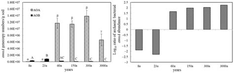 Changes in Diversity and Abundance of Ammonia-Oxidizing Archaea and ...