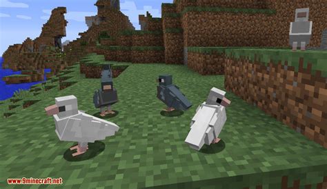 Image result for Minecraft Bird Mod