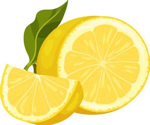 Image result for Lemon Slice Vector