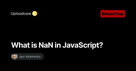Image result for Nan JavaScript