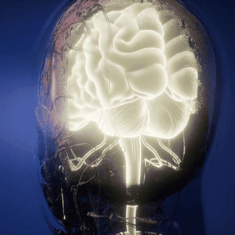 Stem Cell Therapy in Thailand: Clinics, Costs & Guide