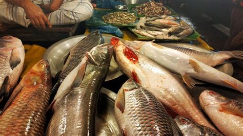 বাজারের মাছে ভয়ানক ফর্মালিন, এই উপায়ে বিষমুক্ত করুন বাড়িতেই - Lesser ...