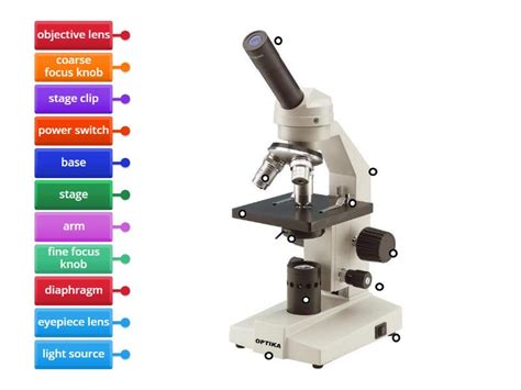 Image result for How Does Microscope Works