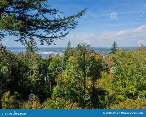 Sehome Hill Arboretum stock photo. Image of university - 203862160