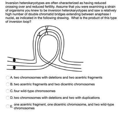 Image result for Inversion Loop Genetics