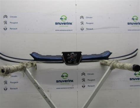 Radiator Grille PEUGEOT 206 CC (2D) buy 47.99