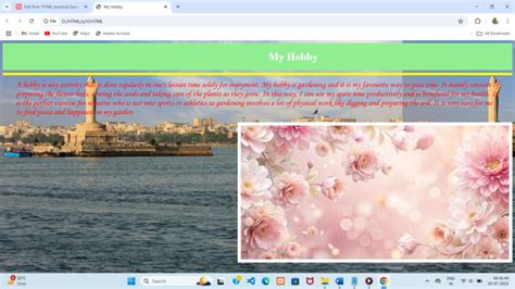HTML Practical Test 的图像结果