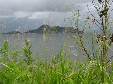 Image result for LS Land Issue