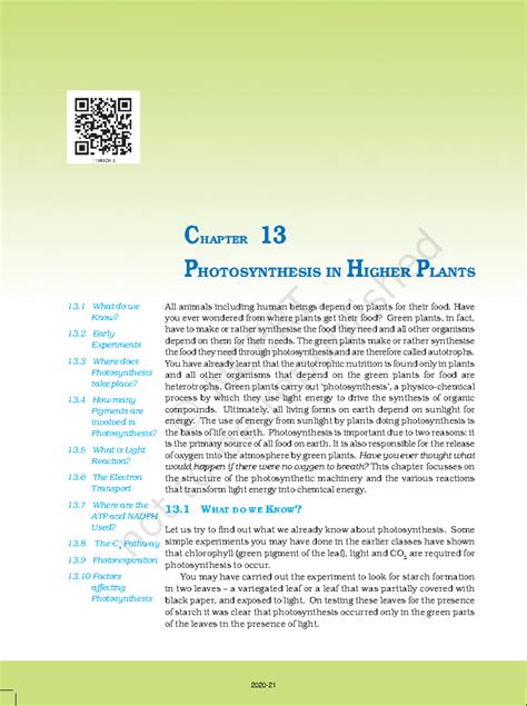 Plant photosynthesis: Chapter 13 - Understanding the process and ...