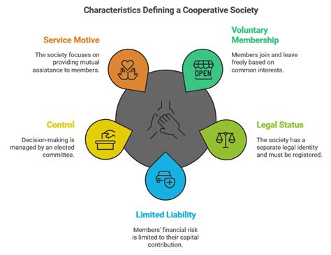 Forms of Business Organisations Chapter Notes - Business Studies (BST ...