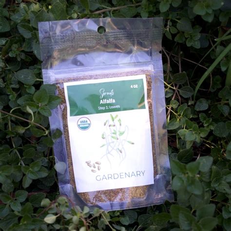 Alfalfa Sprout Seeds - www.storegrower.com