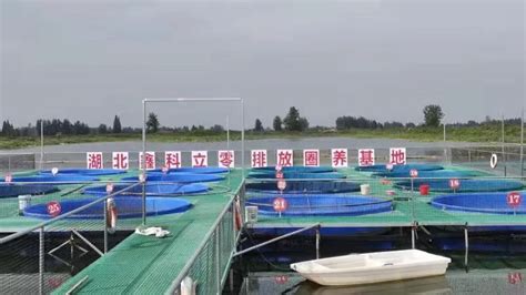 你可听说过“桶式养鱼”？每亩效益增4倍_长江云 - 湖北网络广播电视台官方网站
