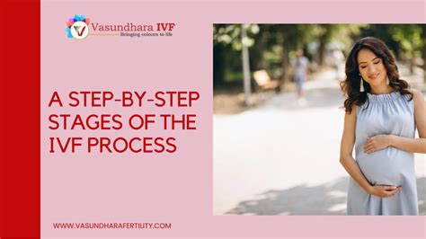 IVF Process Step by Step 的图像结果