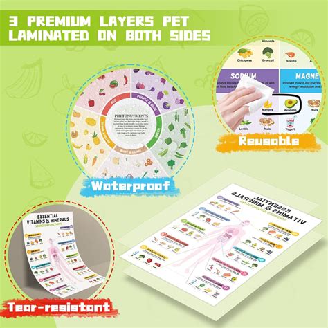 Fuwane 6 Pcs Healthy Food Chart 11X17 Vitamin And Mineral India | Ubuy