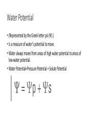 Water Potential Practice Problems 的图像结果