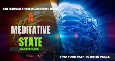 Image result for Brainwave Synchronization