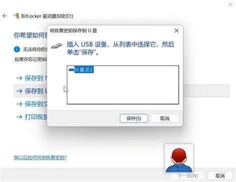 BitLocker Driver 的图像结果