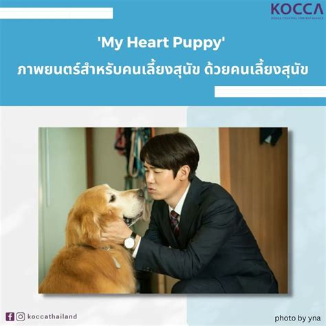KOCCA Thailand on Twitter: "'My Heart Puppy' ภาพยนตร์สำหรับคนเลี้ยง ...