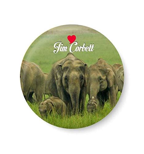 Buy PEACOCKRIDE Love Jim Corbett I Souvenir l Travel I Fridge Magnet ...