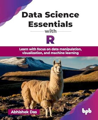 Buy Data Science Essentials with R: Learn with focus on data ...