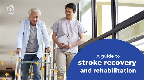 Stroke Recovery Process _ Stroke Recovery Timeline – RTABCE