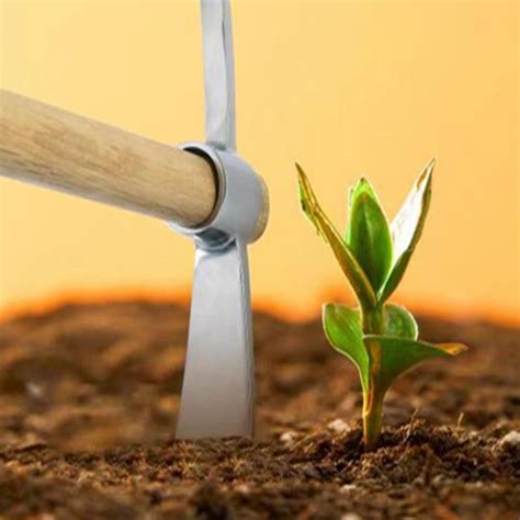 Image result for Landscape Mattock