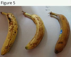 Image result for To Describe Specific Row in Python