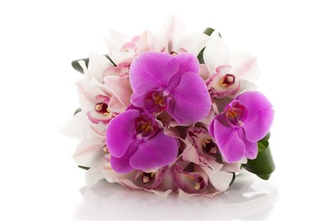 Photos bouquet orchids flower 2560x1706