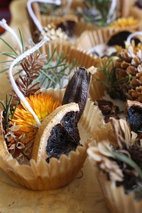 Image result for Homemade Fire Starters