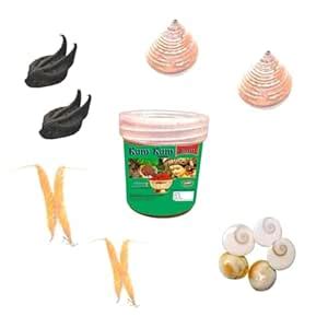 Pmw - Evil Pod/Devil Pod Gomathi Chakras 5 Pcs with 2 Bat Head Roots, 2 ...