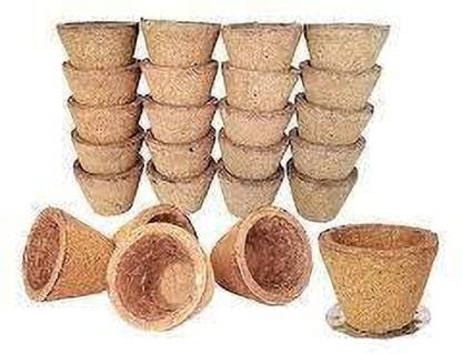 MPH Panchagavya Empty Cup Sambrani Dhoop/ Sambrani Havan Cups for Pooja ...