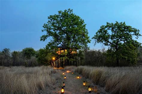 10 beautiful treehouses in India to book this season | Condé Nast ...