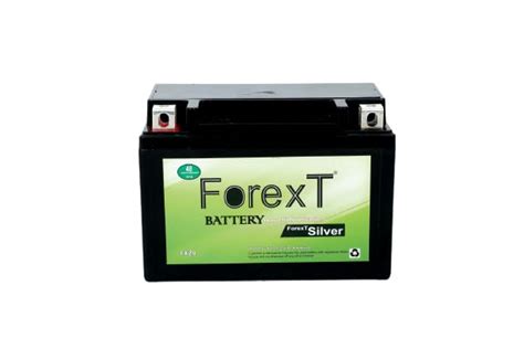 Forext FX Z9-12v 9Ah 2-Wheeler Battery, Black : Amazon.in: Car & Motorbike