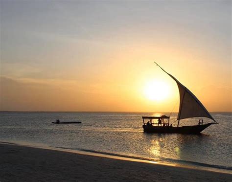 Amani Tours & Safari Zanzibar (Zanzibar City) - All You Need to Know ...