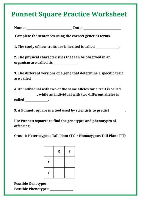 Punnett Square Worksheet