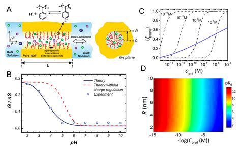 Theoretical Modeling of Chemical Equilibrium in Weak Polyelectrolyte ...