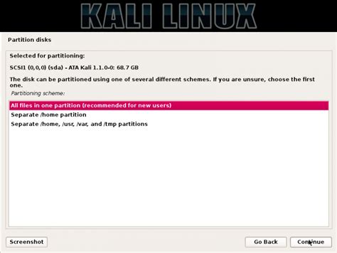 Image result for Kali Linux Install Selection