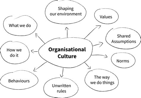 Organizational Culture 的图像结果