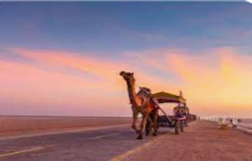 3 Nights & 4 Days Kutch Holiday Tour Package ... | Kutch, Bhadreshwar ...