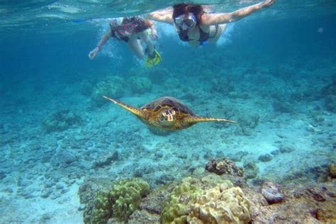 12 Spots For Snorkeling In Port Elizabeth You Must Visit