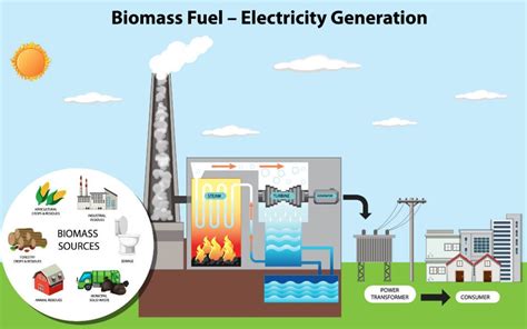 Image result for How Does Biomass Energy Work