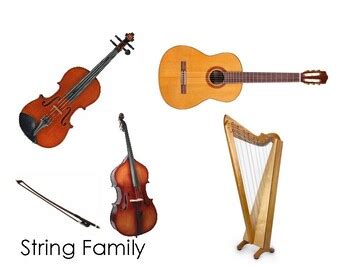Image result for Stringed Instruments